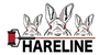 Hareline Dubbin Fly Tying Materials and Gear for Sale Online