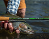 Echo Boost Fresh rod in action, designed for superior freshwater fly fishing performance.