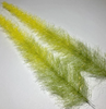 The perfect fly tying material for tyers who love tying simple patterns