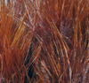 Marabou Blood Quills Rusty Brown