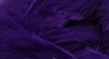 Hareline Mini Marabou Purple