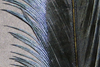 Hareline Pheasant Tail Feathers Black
