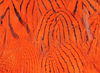 Hareline Silver Pheasant Body Feathers Hot Orange