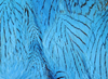 Hareline Silver Pheasant Body Feathers Kingfisher Blue