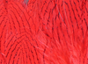 Hareline Silver Pheasant Body Feathers Red