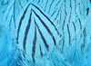 Hareline Silver Pheasant Body Feathers Silver Doctor Blue