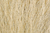 Hareline Pastel Northern Bucktail Tan
