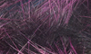 Hareline Rabbit Frostip Crosscut Strips Black Fuchsia