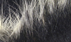Hareline Rabbit Frostip Crosscut Strips Black White