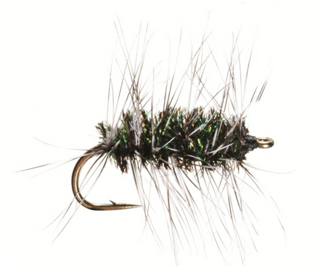 Griffiths Gnat Dry Trout Fly