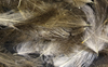 Hareline CDC Feathers Fly Tying Material Is Perfect For Tying Dry Flies And Nymph Fly Patterns When Fly Tying Trout Flies