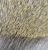 Hareline Dyed Deer Body Hair Fly Tying Material Is The Perfect Material For Tying Bass Bugs And Poppers