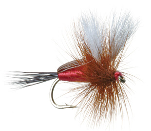 Humpy Dry Fly Trout