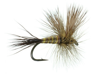 Brown Drake Lawson Dry Fly for Trout