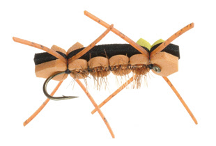 Chernobyl Ant Chernobyl Ant