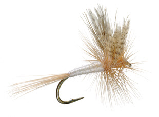 Light Cahill Dry Fly Trout