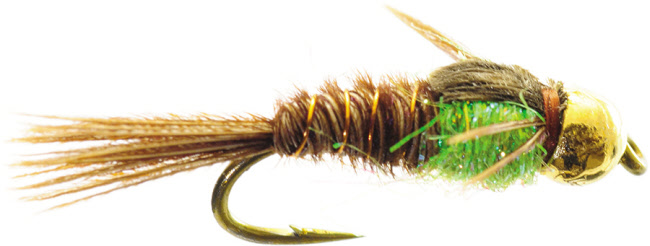 Hot Belly Pheasant Tail Nymph Hot Belly Pheasant Tail Nymph