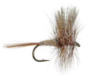 March Brown Dry Fly for Trout