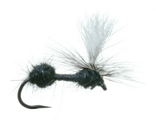 Parachute Ant Parachute Ant