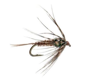 Tungsten Soft Hackle Pheasant Tail Trout Fly