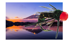 salmon flies for sale fly fishing flies for sale buy online fly patterns salmon flies for sale fly fishing flies for sale buy online fly patterns