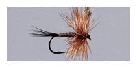 Sale Price Flies 