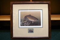 Sale Priced Trout Stamp Prints 