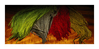 Feathers 