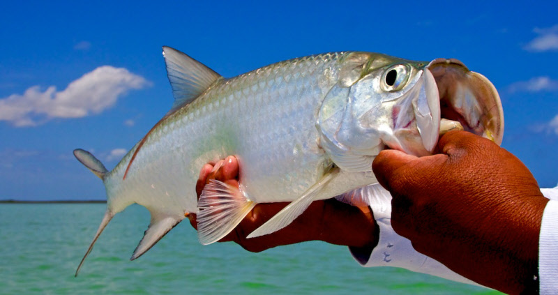 Boca Paila, Mexico