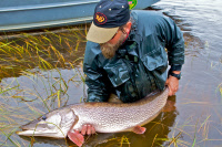 MSTPA Pike geting ready to release