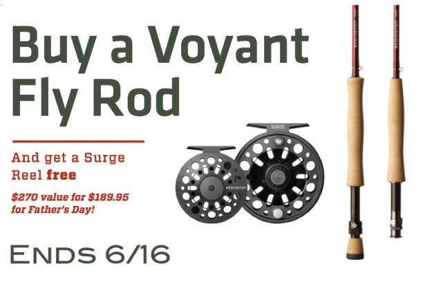 Redington Voyant