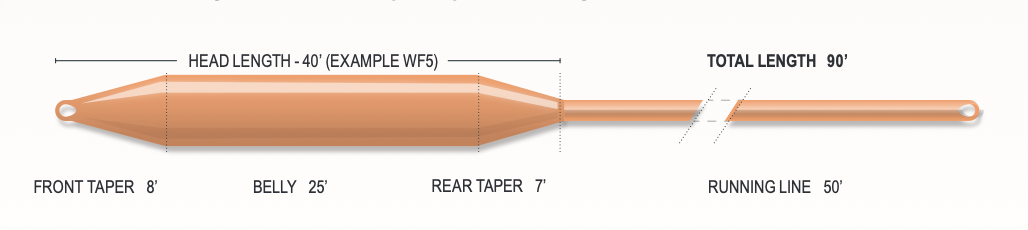 Airflo CAST Performance Fly Line taper and specs.