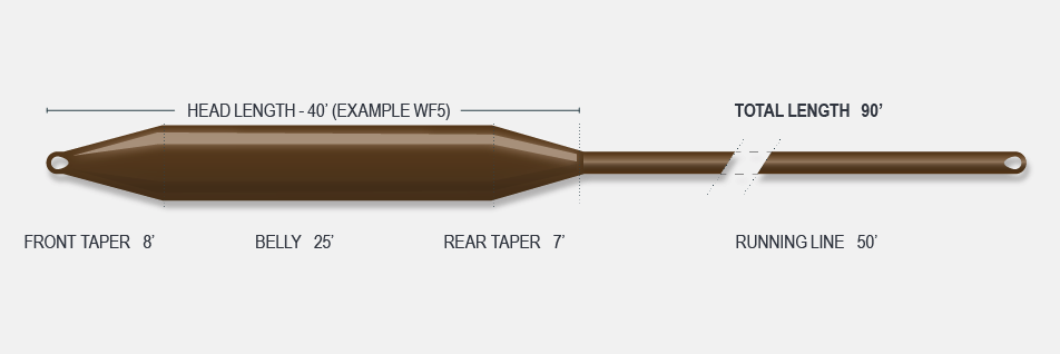 Airflo CAST Performance Type 3 Full Sinking Fly Line taper