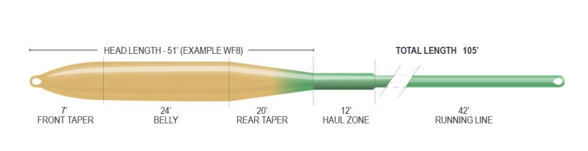 Textured fly line with Ridge 2.0 tech for smooth shooting and reduced drag