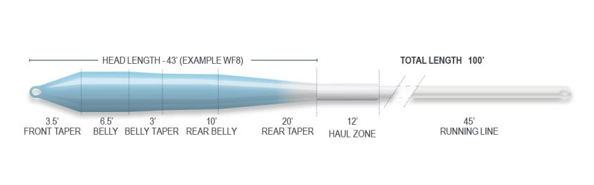 Ridge 2.0 textured fly line for reduced drag and smoother casting