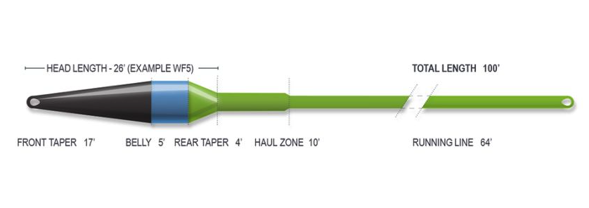 Short head fly line with intermediate haul zone for effective streamer fishing