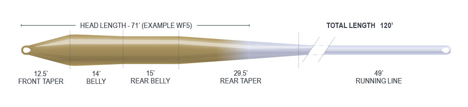 Buy trout fishing fly lines with free shipping online.