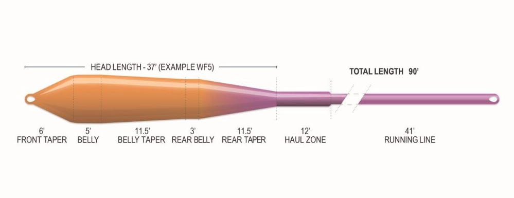 Taper and specs for Airflo Superflo Max Ridge 2.0 Power Taper Fly Line