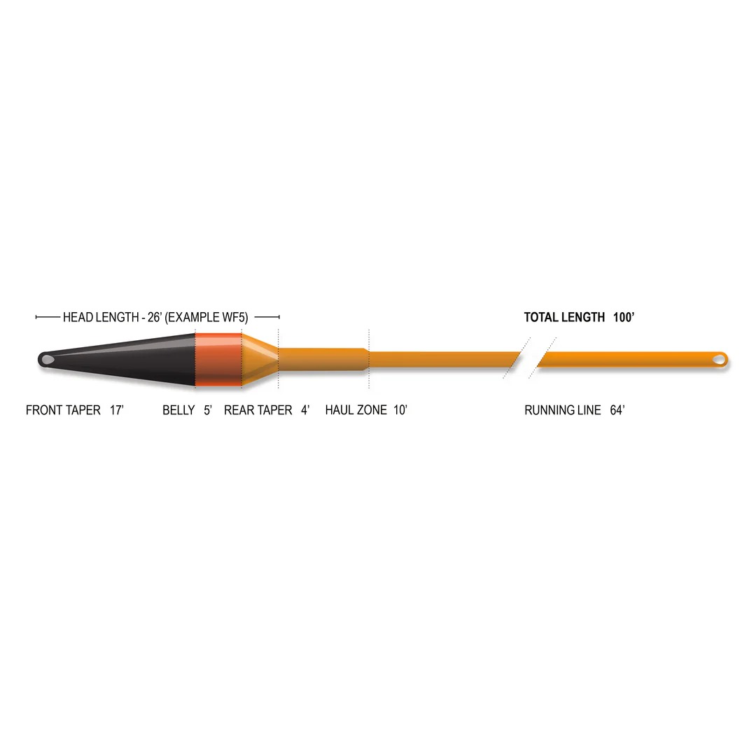 Airflo streamer fishing fly line short head taper for tight casting situations
