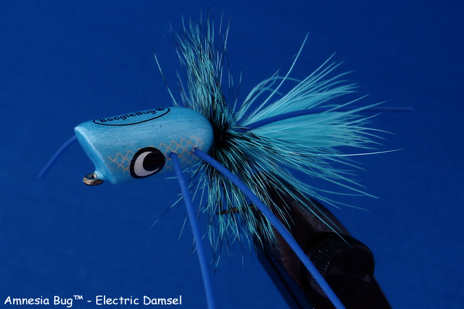 Boogle Amnesia Bugs Electric Damsel