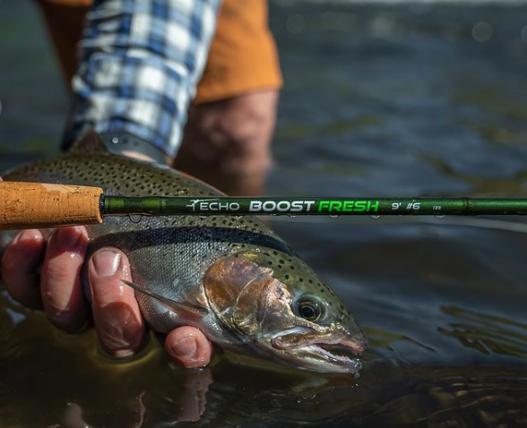 Echo Boost Fresh rod in action, designed for superior freshwater fly fishing performance.