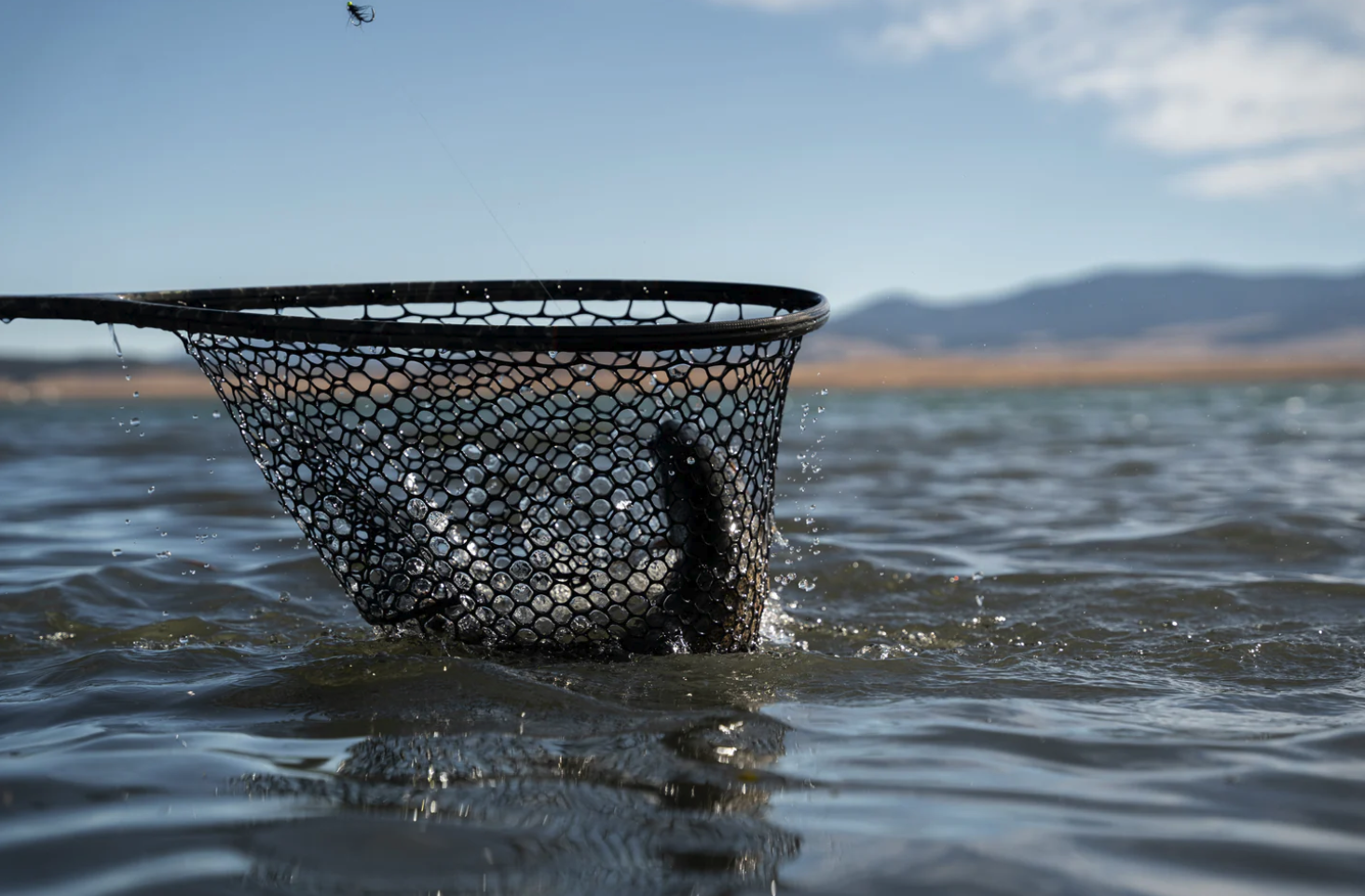 Order Nomad fly fishing nets online.