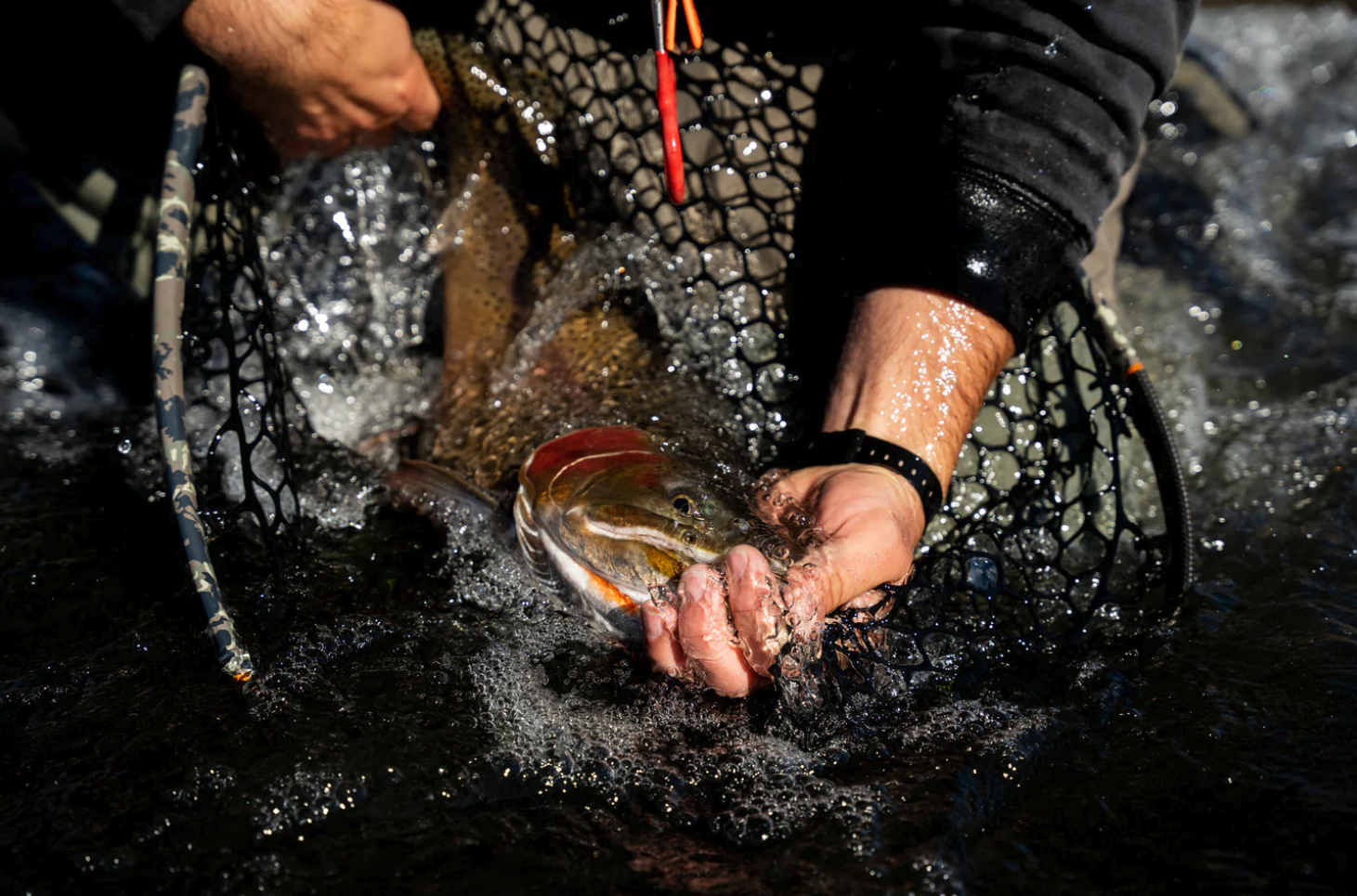 Shop Fishpond Nomad Boat Net best price online.