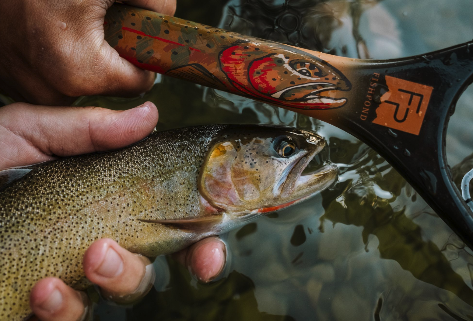 Cutthroat trout by Fishpond Nomad Canyon Net Colorado Cutty handle
