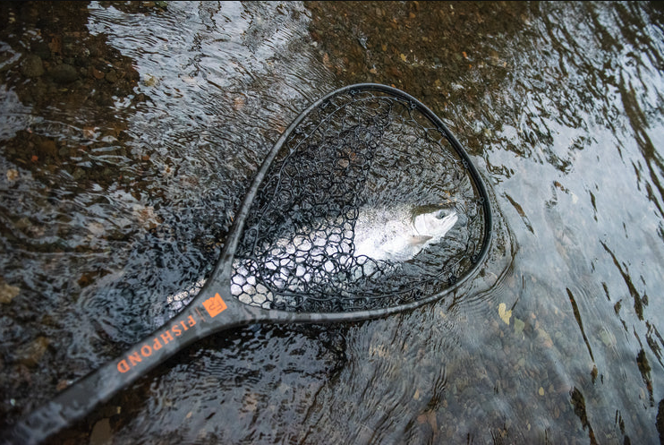 Shop Fishpond Nomad Mid-Length Boat Net Wild Run Edition online.