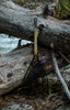 Fishpond Nomad Middle Fork Net Hook Jaw Limited Edition leaned against tree