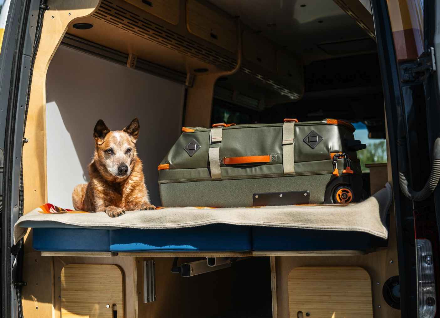 Fishpond Stormshadow Medium Rolling Duffel in truck next to dog