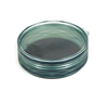 Fishpond Shallow MagPad Fly Puck keeps trout fly fishing flies at hand.