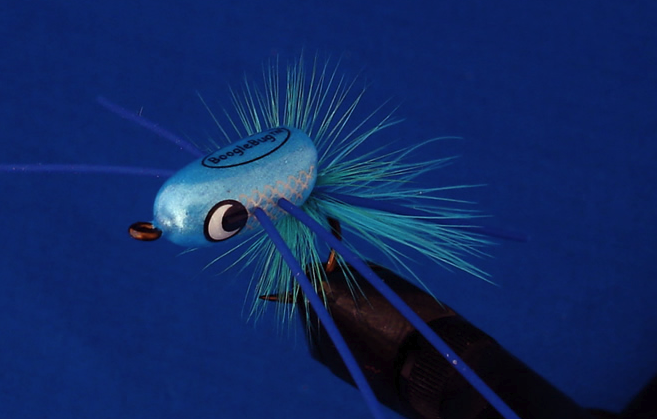 Boogle Bullet in Electric Damsel color