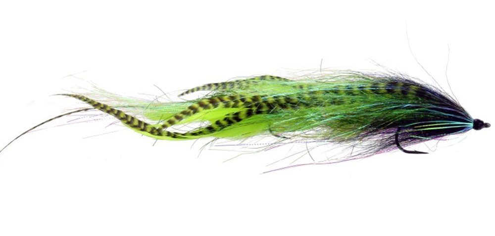 Skerik's Apex Predator Fly, Buy Musky Flies Online, Buy Pike Flies Online